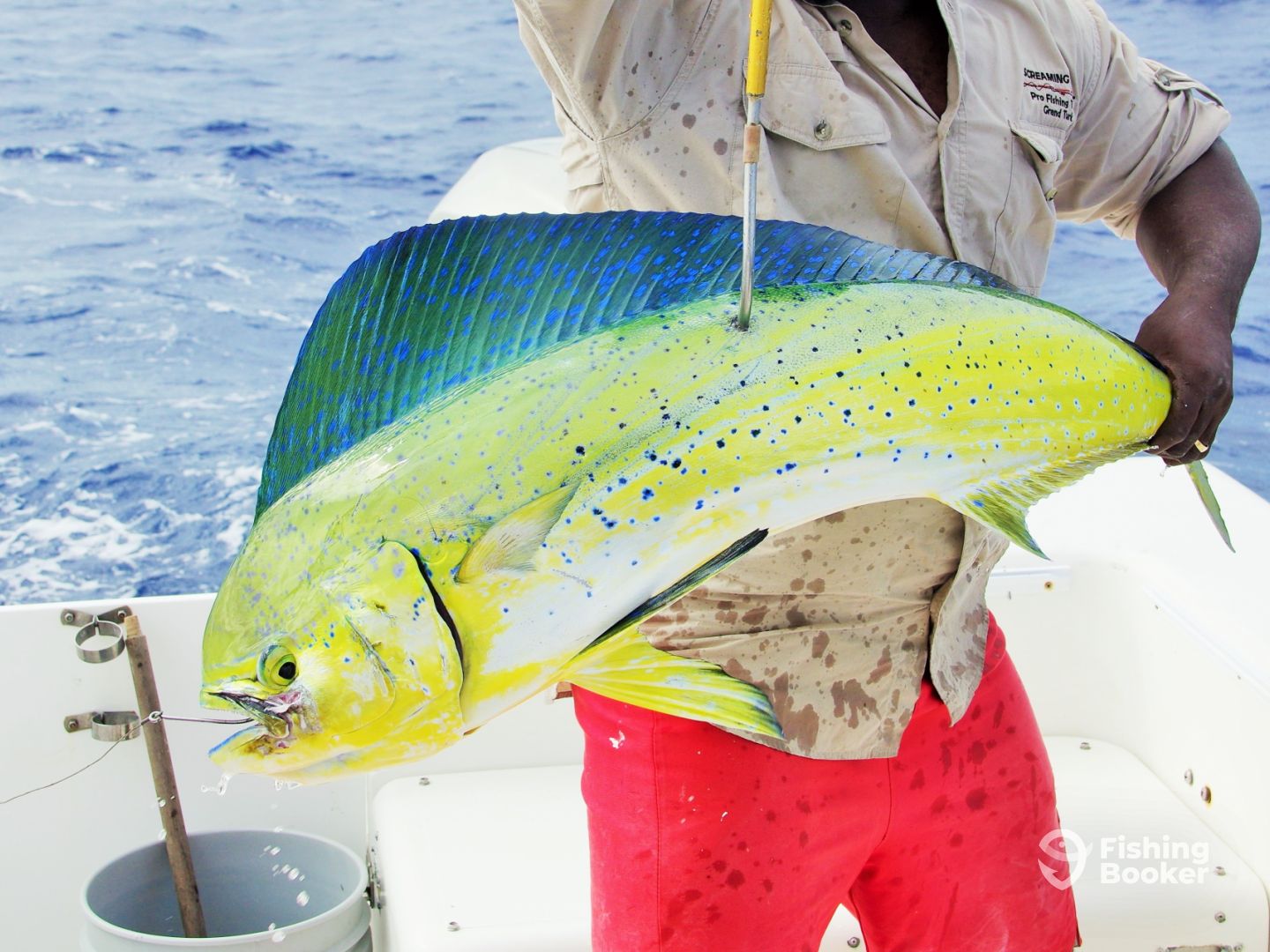 Action Packed Fishing Trip For Honeymoon Grand Turk Fishing Report