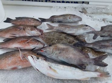 Bay Pines Report Photo 2