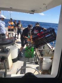 Western Australia Report Photo 2
