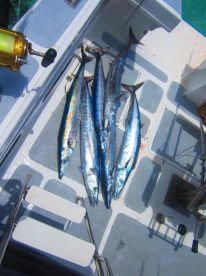 Le Morne Report Photo 2