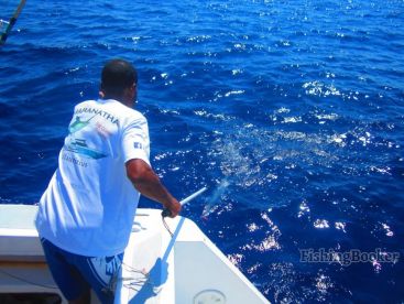 Le Morne Report Photo 1