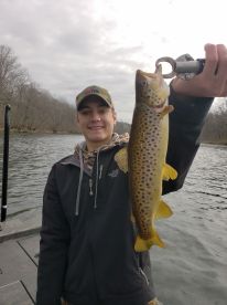 Branson Report Photo 1