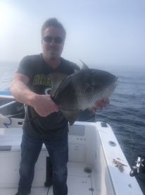 Orange Beach Report Photo 2
