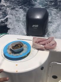 Herradura Report Photo 2