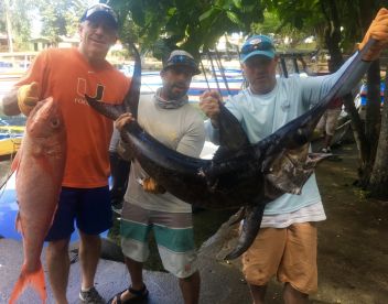First Broadbill Swordfish caught in the daytime!