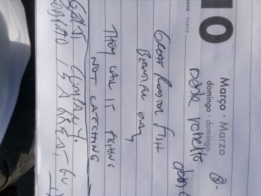 Cabo San Lucas Report Photo 2