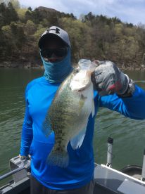 Carroll County Report Photo 3