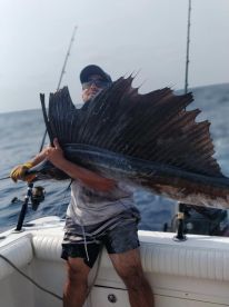Cartagena de Indias Report Photo 1
