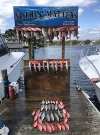 Destin Report Photo 1