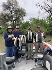 Sutter Yuba Area Report Photo 2