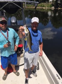 Bonita Springs Report Photo 1