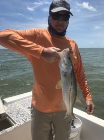 Marco Island Report Photo 1
