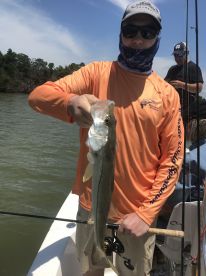 Marco Island Report Photo 2
