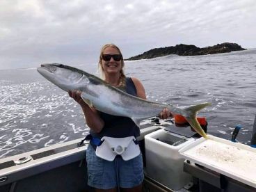 Coromandel Report Photo 1