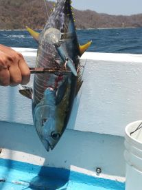 La Cruz Report Photo 4