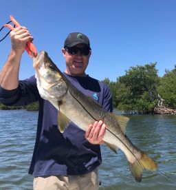 Sanibel Report Photo 2