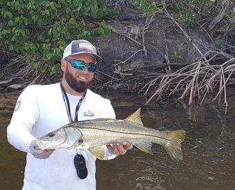 Sanibel Report Photo 1