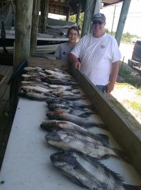 St. Bernard Report Photo 2