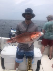 Orange Beach Report Photo 1
