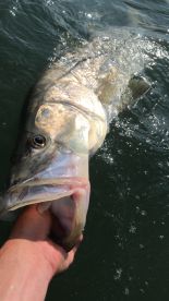 Clearwater Report Photo 2