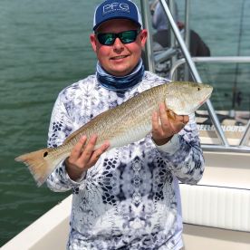 Sarasota Report Photo 2