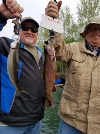 BUNCHES of BIG Taneycomo Lake Trout! 
