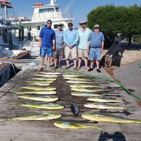 Manteo Report Photo 1