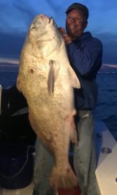 Black Drum