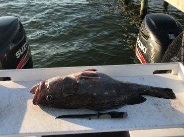 Pensacola Report Photo 1