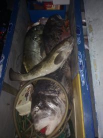 Durban Report Photo 2
