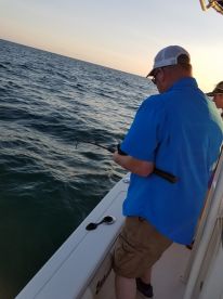 Bay Pines Report Photo 2