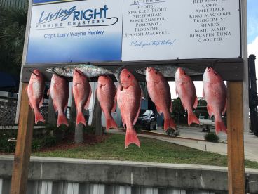 Destin Report Photo 2