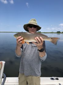 New Orleans Report Photo 2
