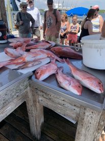 Orange Beach Report Photo 2