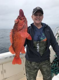 San Diego Report Photo 2