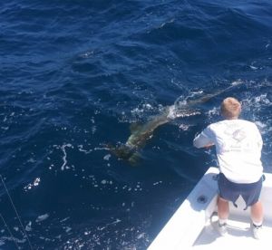 Fort Lauderdale Report Photo 2