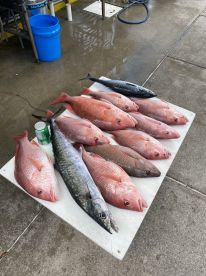 Nice when we can get out. 