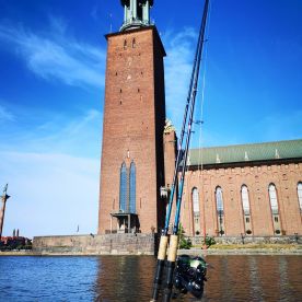 Stockholm Report Photo 2