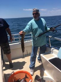 Montauk Report Photo 1