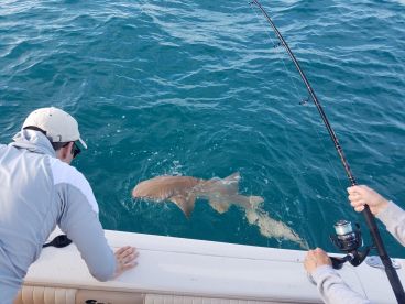 Bay Pines Report Photo 3