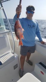 Destin Report Photo 1