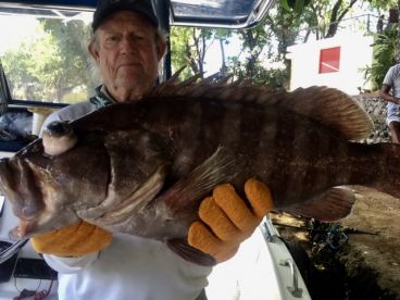 Mystic Grouper-Some of the finest eating!