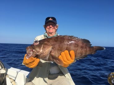 Another nice mystic grouper!