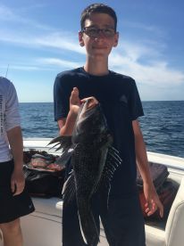 Lacey Township Report Photo 2