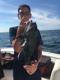 Lacey Township Report Photo 1