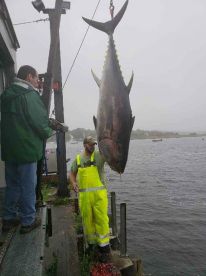 Newburyport Report Photo 1
