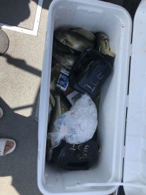 Buffalo Report Photo 1