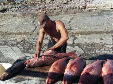 La Paz Report Photo 2