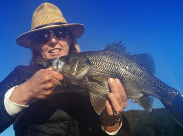South Murwillumbah Foto: 2