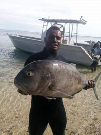 Sigatoka Report Photo 1